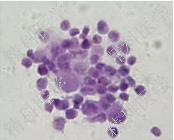 1595907008749343.png image.png