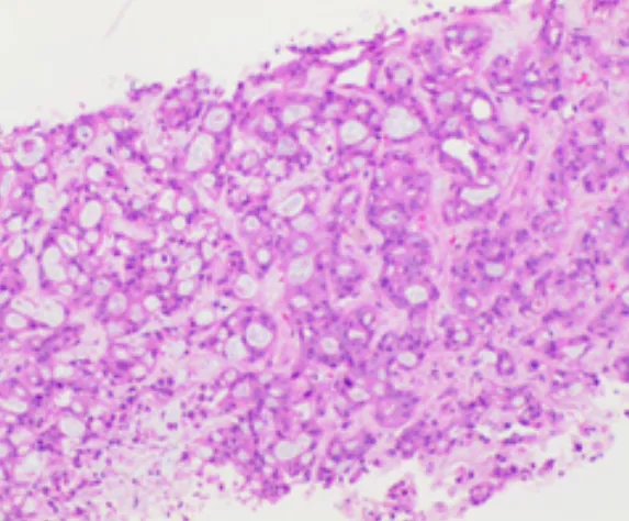 1633662686893373.png image.png