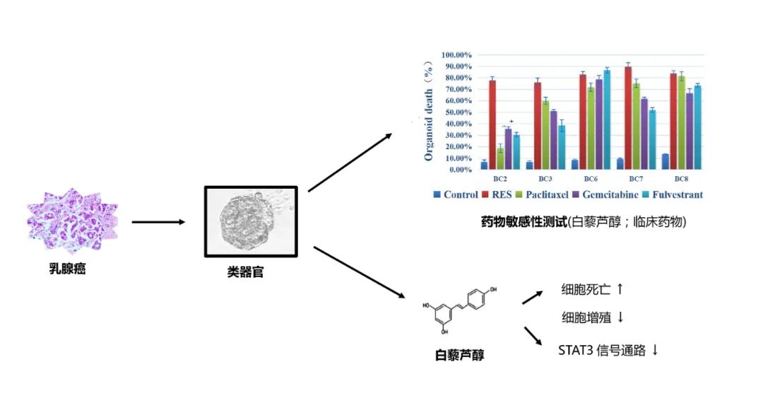 1655879150967750.jpg 002cabcdf24ecc818a084c929381c045_640_wx_fmt=jpeg&wxfrom=5&wx_lazy=1&wx_co=1.jpg