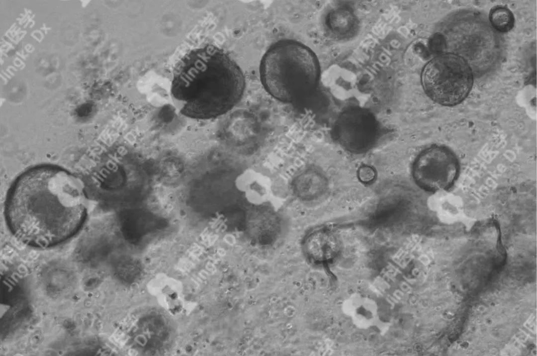 1656648223689082.png image.png