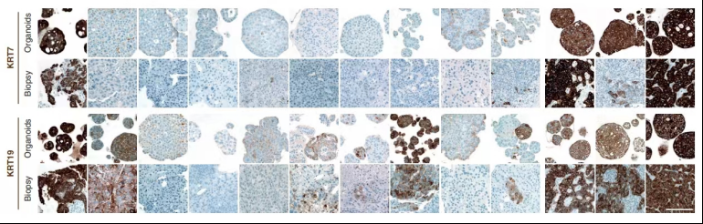 1663588098612856.png image.png