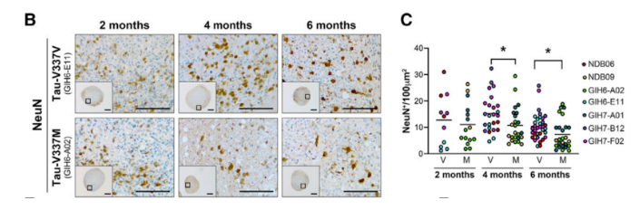 1681106773396815.png image.png