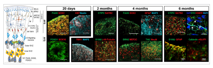 1681106865991272.png image.png