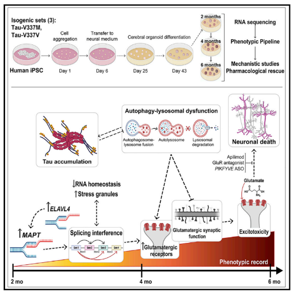 1681107199136282.png image.png