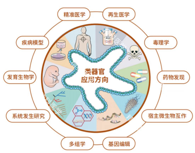 1681205655148950.png image.png