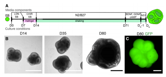 1683795822153125.png image.png