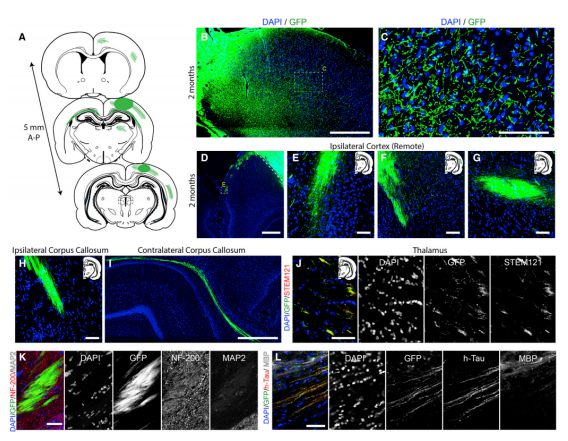 1683795848274583.png image.png