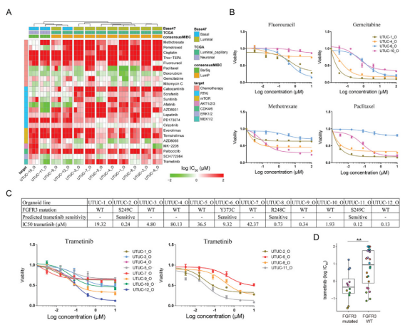 1683796054231968.png image.png