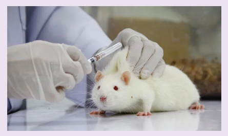 1683796351414517.png image.png