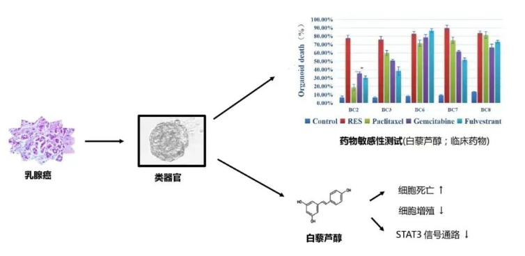 1684122241246329.png image.png