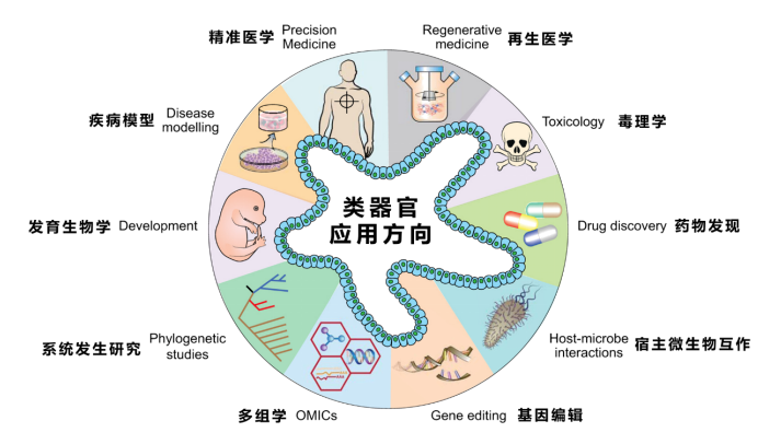 1684129791486346.png image.png