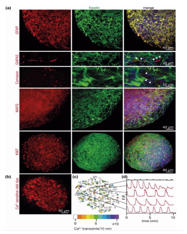 1684131185532359.png image.png